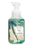 Product image of Gentle Foaming Hand Soap - Coastal Air
